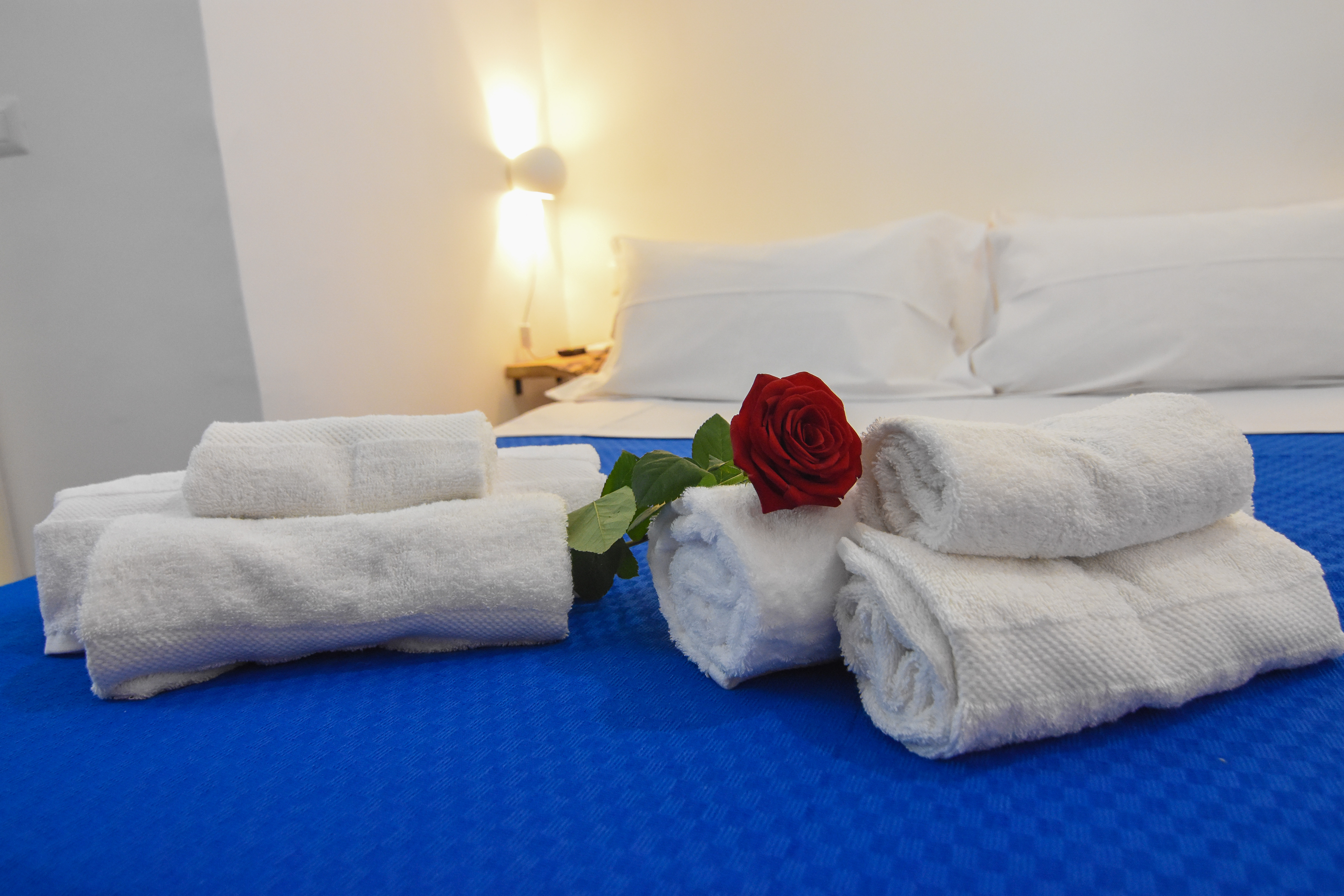 Art Domus B&B